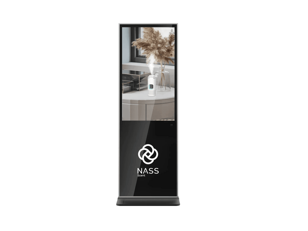 ناس ڤيجن - ناس سنت